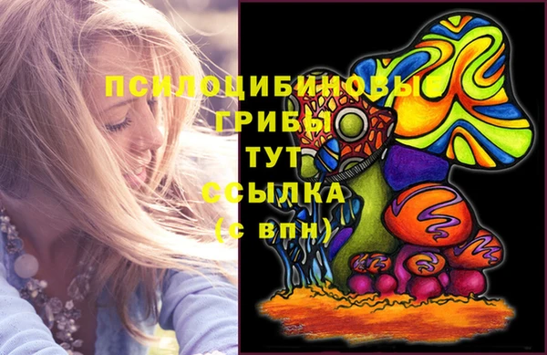 молекула духа Белоозёрский